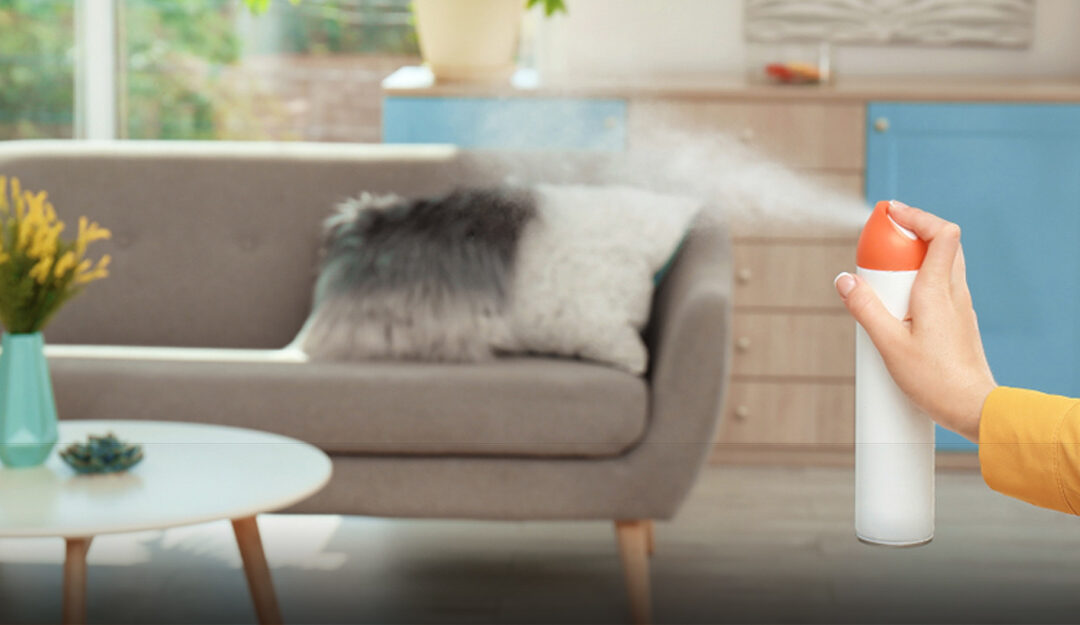 How to get Rid of Smoke Smell before Selling House?